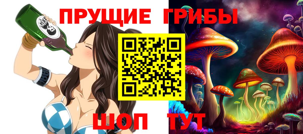 Псилоцибиновые грибы прущие грибы  Псилоцибиновые грибы Psilocybe  Вход с VPN  Ржев 